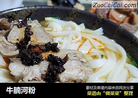 牛腩河粉