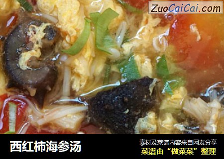西红柿海参汤