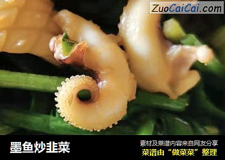 墨鱼炒韭菜