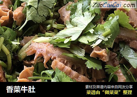香菜牛肚