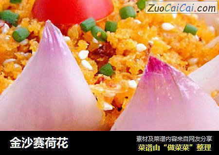 金沙赛荷花