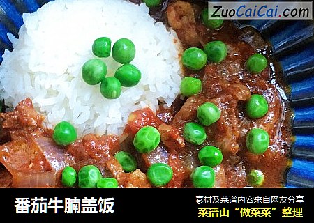 番茄牛腩盖饭