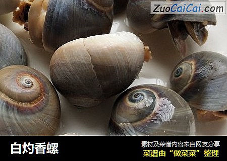 白灼香螺