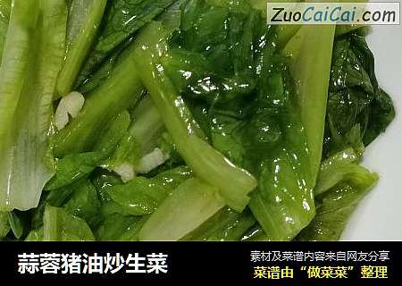 蒜蓉猪油炒生菜