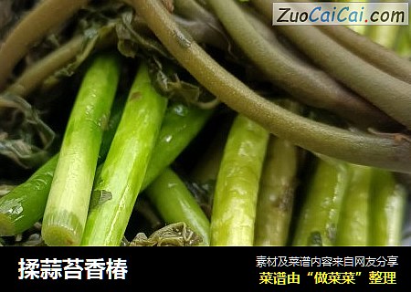 揉蒜苔香椿