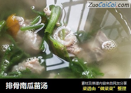 排骨南瓜苗汤