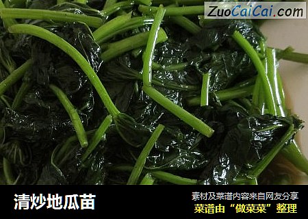 清炒地瓜苗
