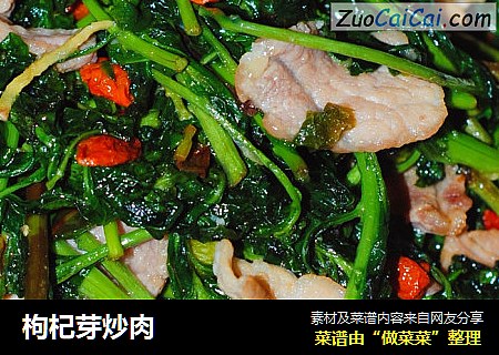 枸杞芽炒肉