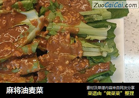 麻将油麦菜