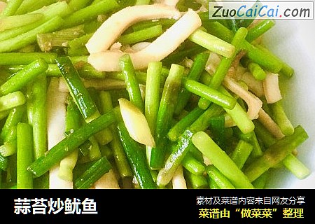 蒜苔炒鱿鱼