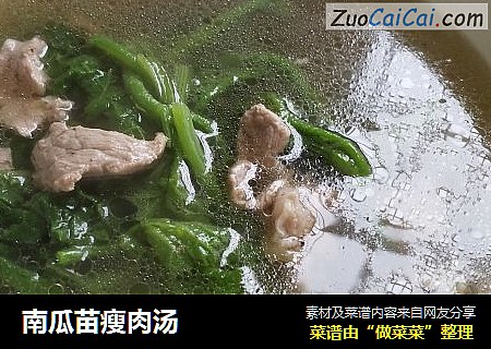 南瓜苗瘦肉汤