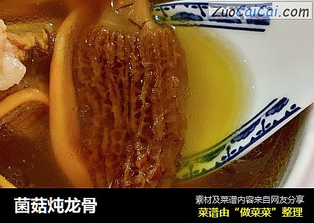 菌菇炖龙骨