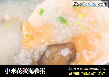 小米花胶海参粥