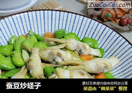 蚕豆炒蛏子