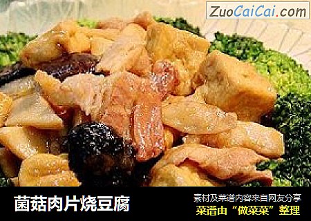 菌菇肉片烧豆腐