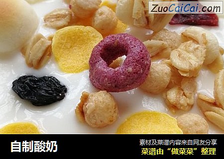自制酸奶