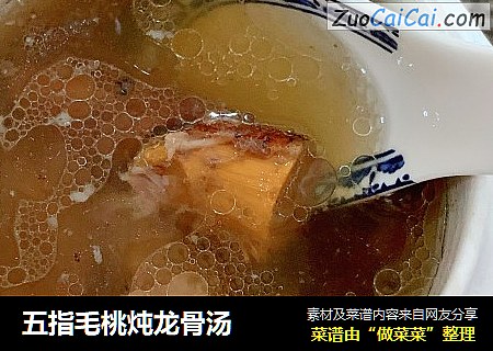 五指毛桃炖龙骨汤