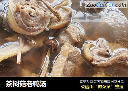 茶树菇老鸭汤