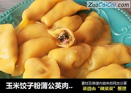 玉米饺子粉蒲公英肉馅煮饺