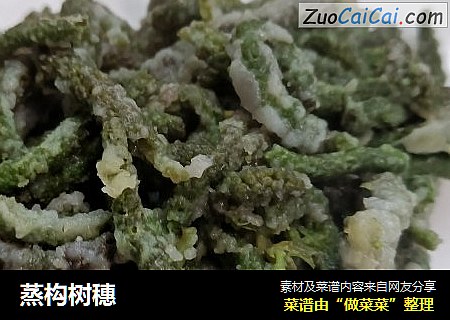 蒸构树穗