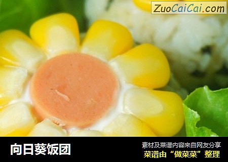 向日葵饭团