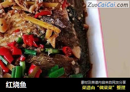 红烧鱼
