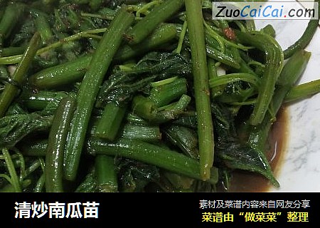 清炒南瓜苗