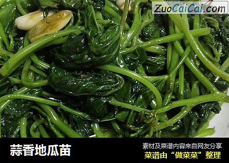 蒜香地瓜苗
