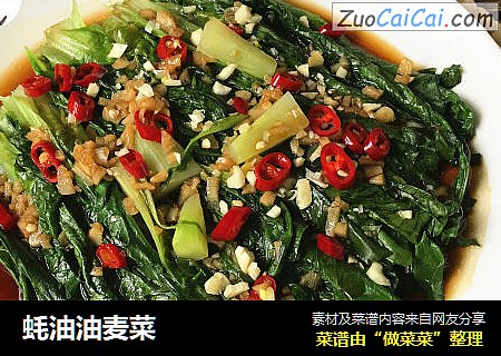 蚝油油麦菜