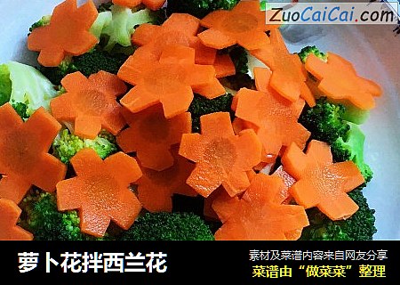 萝卜花拌西兰花