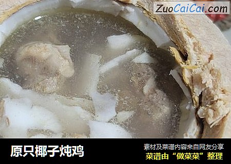 原只椰子炖鸡