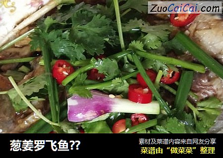 葱姜罗飞鱼？