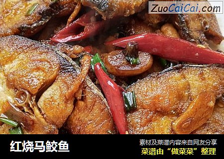 红烧马鲛鱼