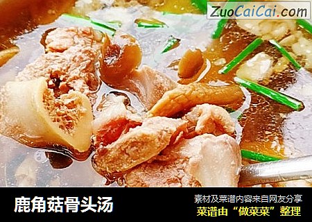 鹿角菇骨头汤