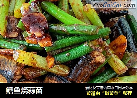 鳝鱼烧蒜苗