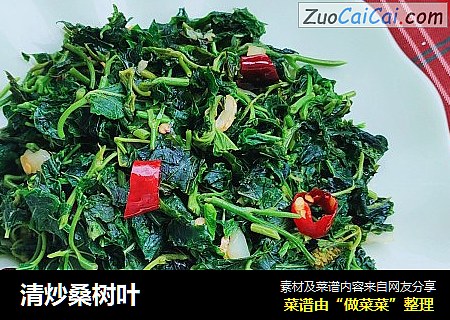清炒桑树叶