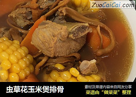 虫草花玉米煲排骨