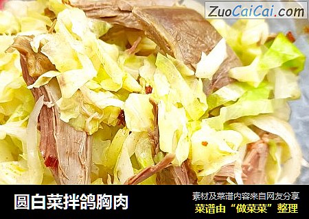 圆白菜拌鸽胸肉