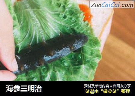 海参三明治