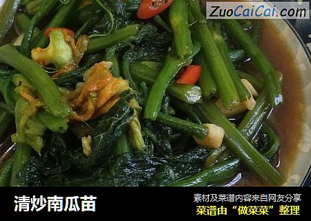 清炒南瓜苗