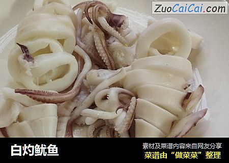白灼鱿鱼