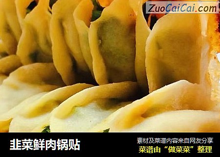韭菜鲜肉锅贴