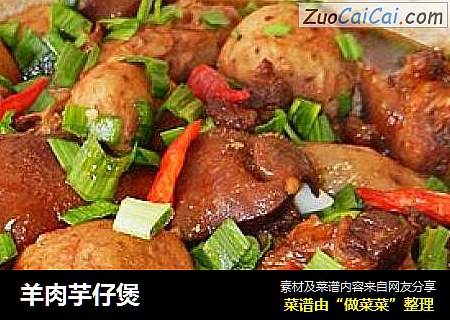 羊肉芋仔煲