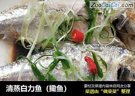 清蒸白力鱼（鳓鱼）