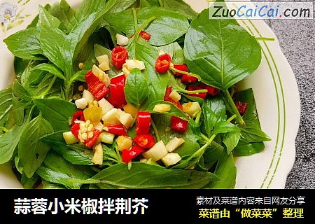 蒜蓉小米椒拌荆芥