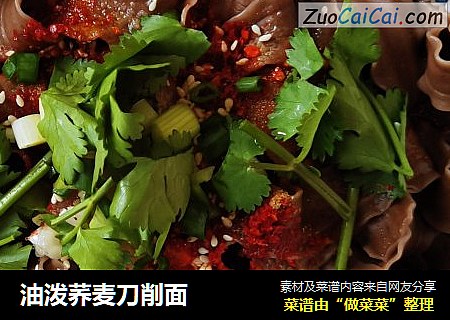 油泼荞麦刀削面