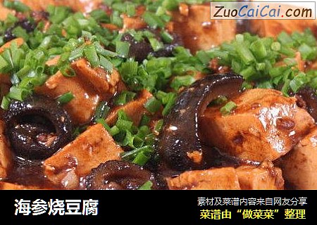 海参烧豆腐