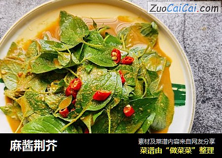 麻酱荆芥