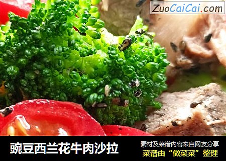 豌豆西兰花牛肉沙拉