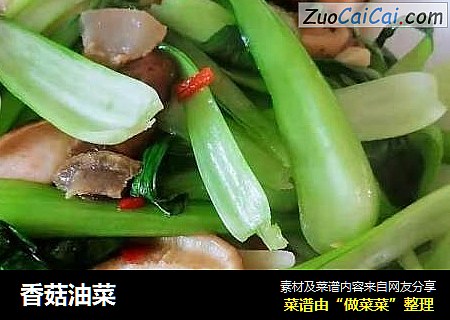 香菇油菜